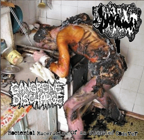 Gangrene Discharge : Bacteral Maceration of an Ulcerated Cadaver